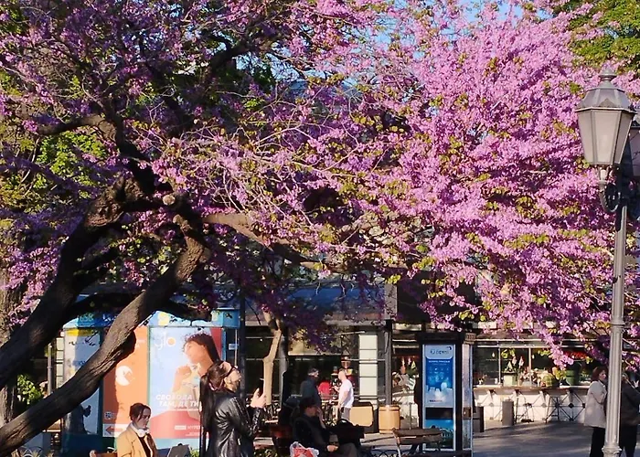 Apartment In The Heart Of *